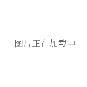 數(shù)顯恒流泵蠕動(dòng)泵HL-2